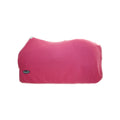 Coperta pile modello polar color antipilling